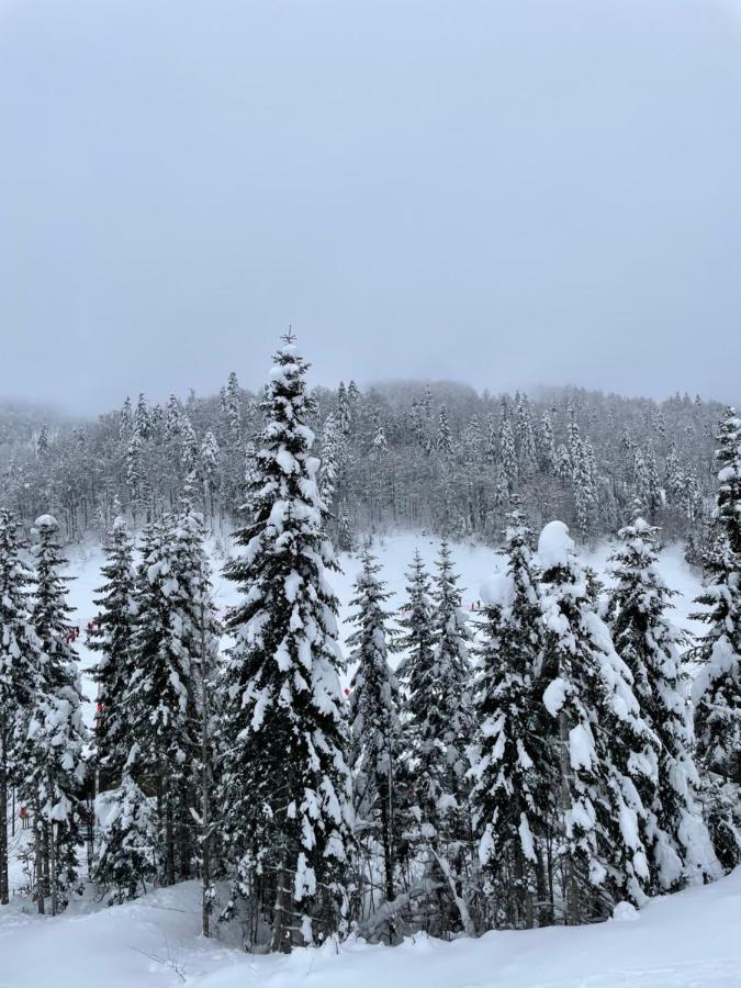 Wild Beauty Apartment-Modern Mountain 2 Kolasin Bagian luar foto